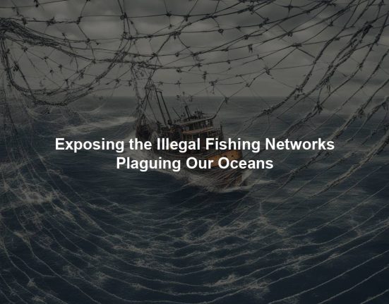 Exposing the Illegal Fishing Networks Plaguing Our Oceans