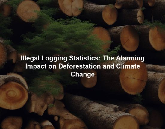Illegal Logging Statistics: The Alarming Impact on Deforestation and Climate Change
