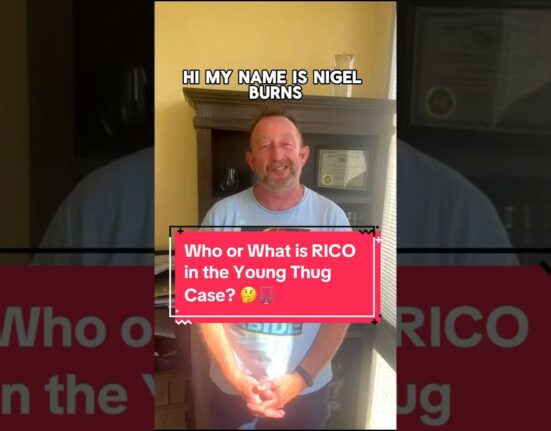Who or What is RICO in the Young Thug Case? #YoungThug #BrianSteel #RICOAct