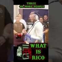 Ms. Love's RICO Confession - Young Thug YSL Trial - 3 or more #ysltrial